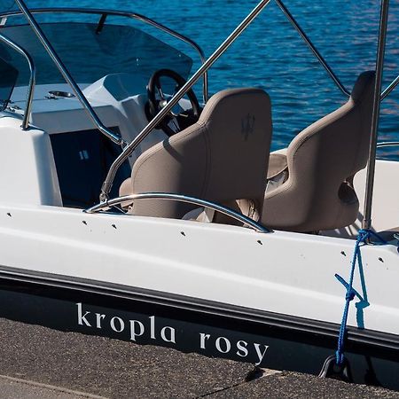 Kropla Rosy Βρότσλαβ Εξωτερικό φωτογραφία